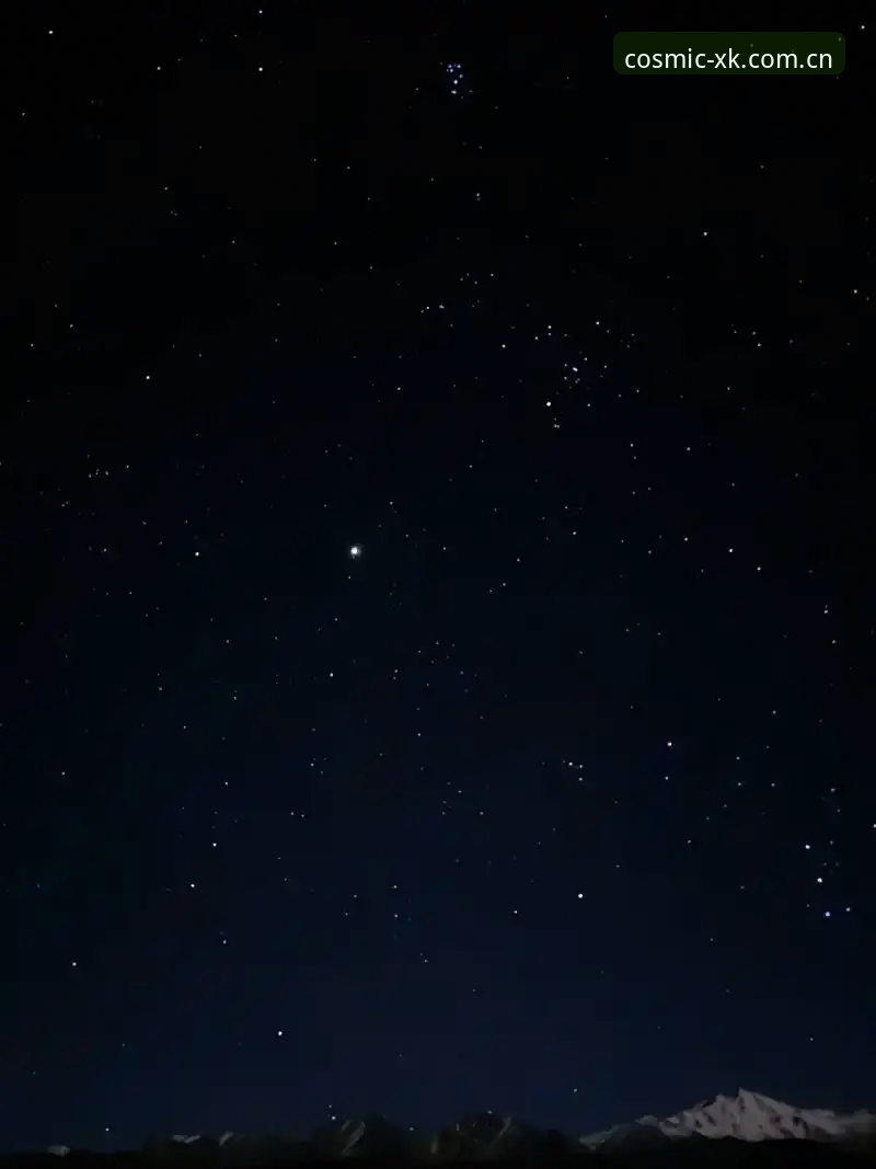 2024星空娱乐平台最新动态深度分析：从v2.1.1版本看娱乐体验的全面革新